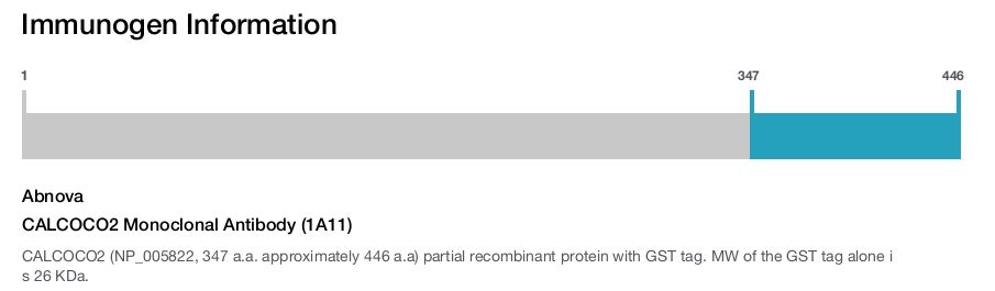 CALCOCO2 Monoclonal Antibody (1A11)