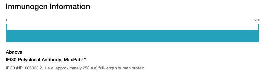 IFI30 Polyclonal Antibody, MaxPab™
