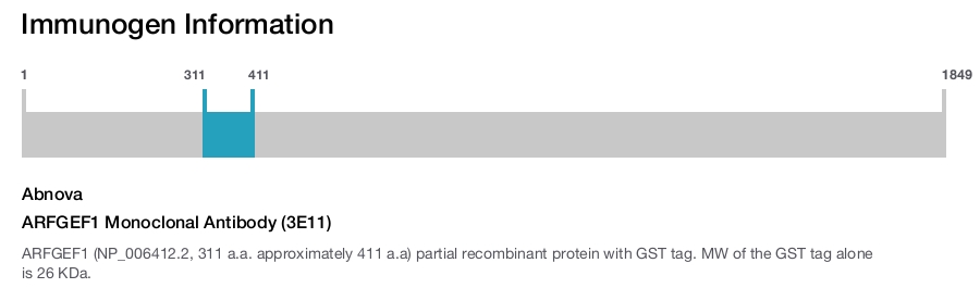 ARFGEF1 Monoclonal Antibody (3E11)