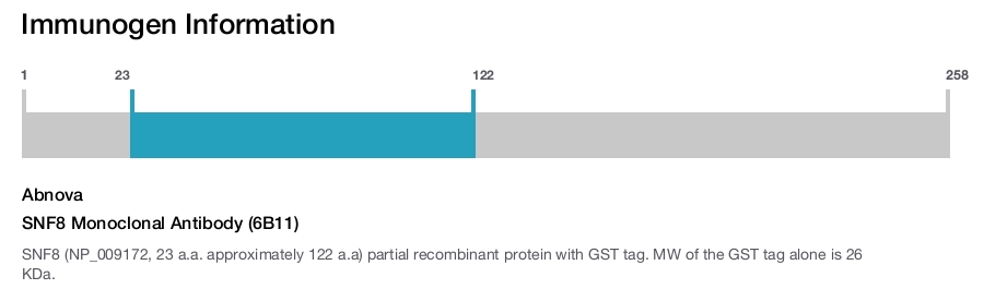 SNF8 Monoclonal Antibody (6B11)