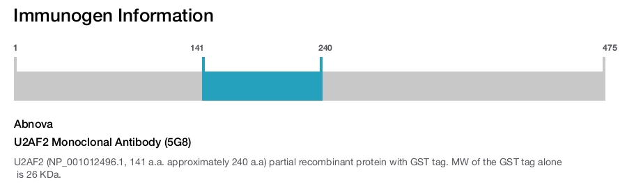 U2AF2 Monoclonal Antibody (5G8)
