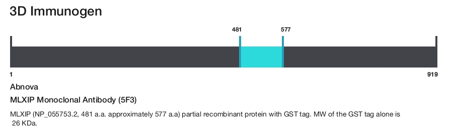MLXIP Monoclonal Antibody (5F3)