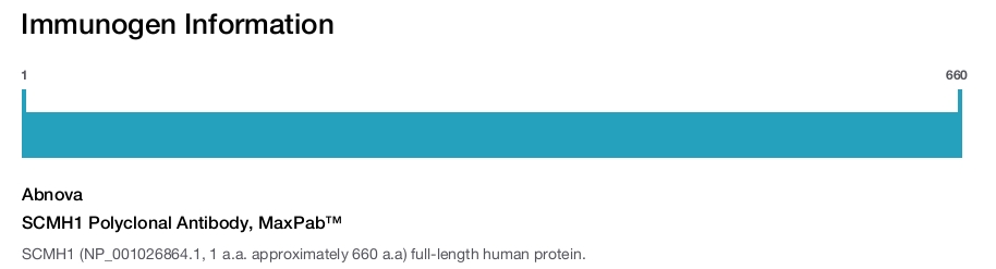 SCMH1 Polyclonal Antibody, MaxPab&trade;