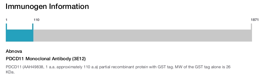 PDCD11 Monoclonal Antibody (3E12)