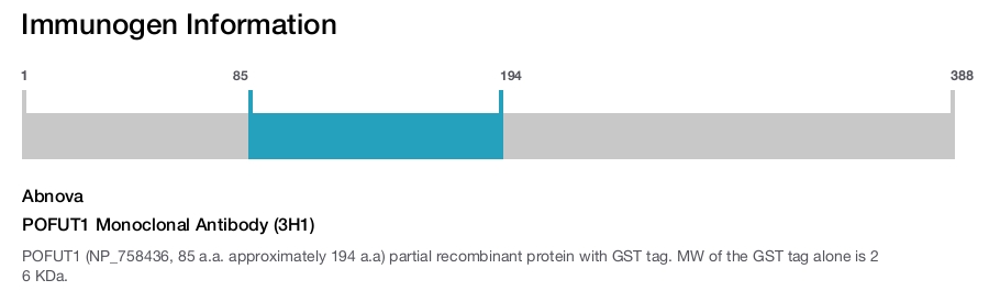 POFUT1 Monoclonal Antibody (3H1)