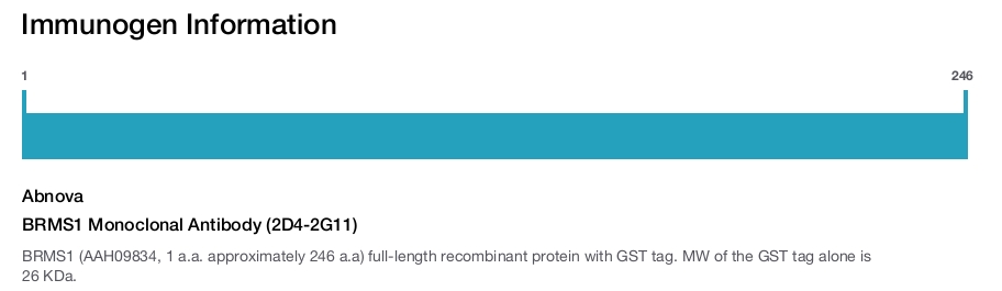 BRMS1 Monoclonal Antibody (2D4-2G11)