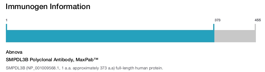 SMPDL3B Polyclonal Antibody, MaxPab™