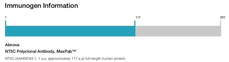 NT5C Polyclonal Antibody, MaxPab&trade;