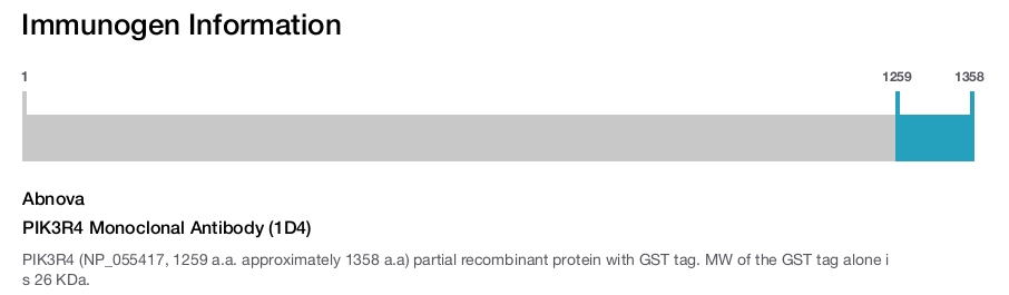 PIK3R4 Monoclonal Antibody (1D4)