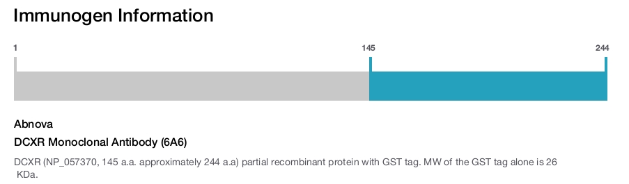 DCXR Monoclonal Antibody (6A6)