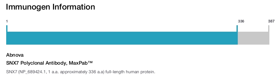 SNX7 Polyclonal Antibody, MaxPab™