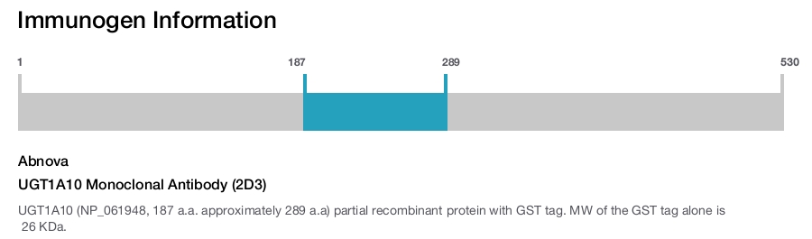 UGT1A10 Monoclonal Antibody (2D3)