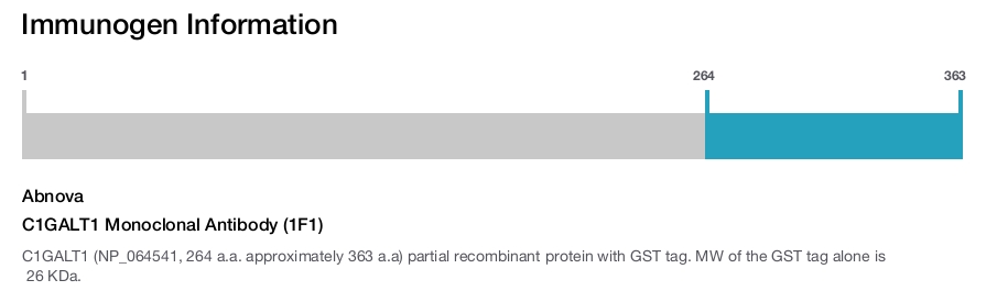 C1GALT1 Monoclonal Antibody (1F1)