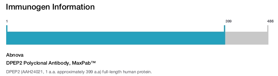 DPEP2 Polyclonal Antibody, MaxPab™