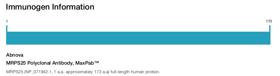 MRPS25 Polyclonal Antibody, MaxPab™