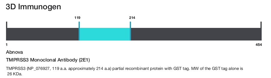 TMPRSS3 Monoclonal Antibody (2E1)