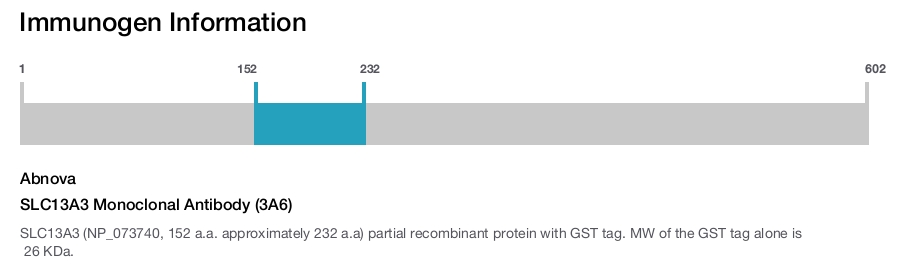 SLC13A3 Monoclonal Antibody (3A6)