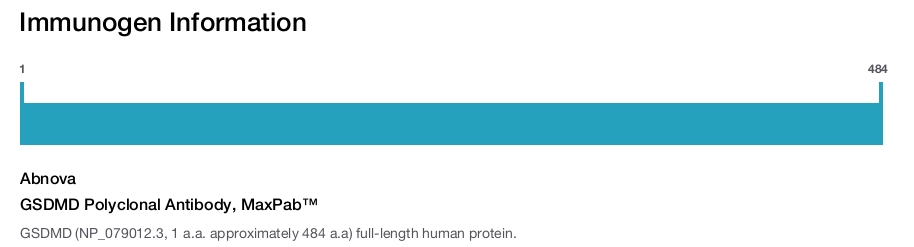 GSDMD Polyclonal Antibody, MaxPab&trade;