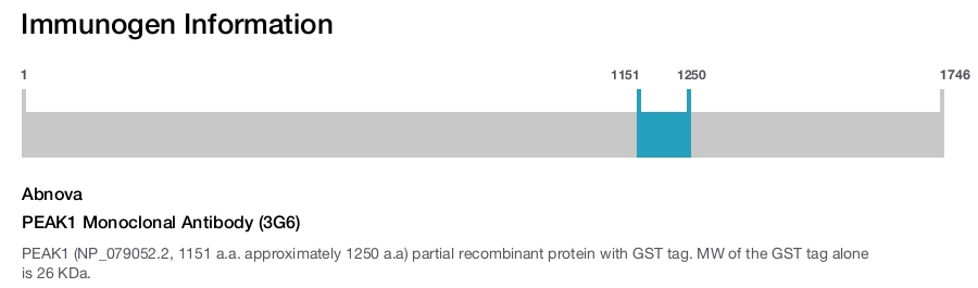PEAK1 Monoclonal Antibody (3G6)