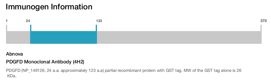 PDGFD Monoclonal Antibody (4H2)
