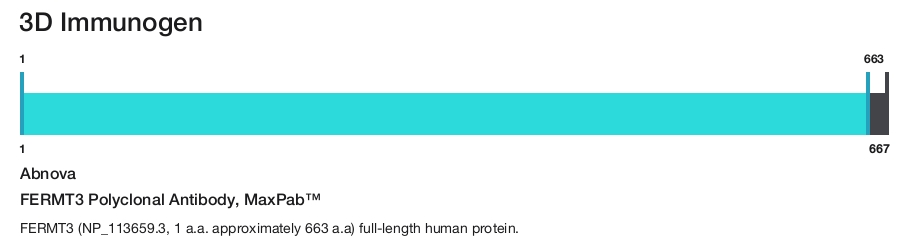 FERMT3 Polyclonal Antibody, MaxPab&trade;