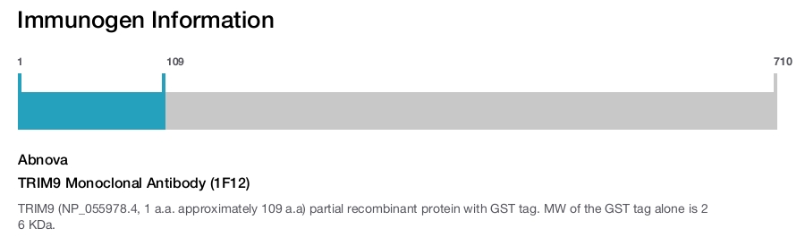 TRIM9 Monoclonal Antibody (1F12)