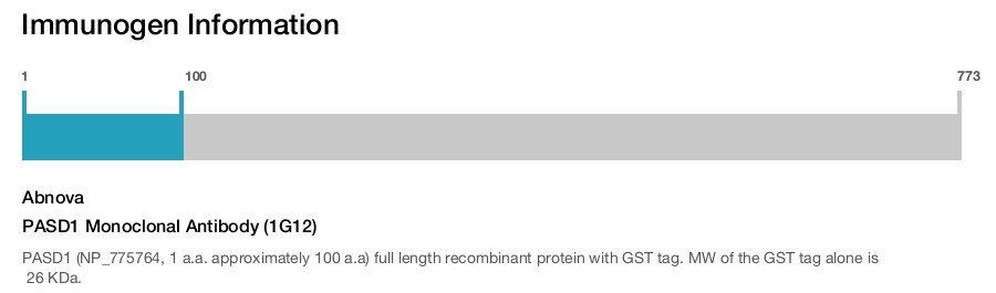 PASD1 Monoclonal Antibody (1G12)