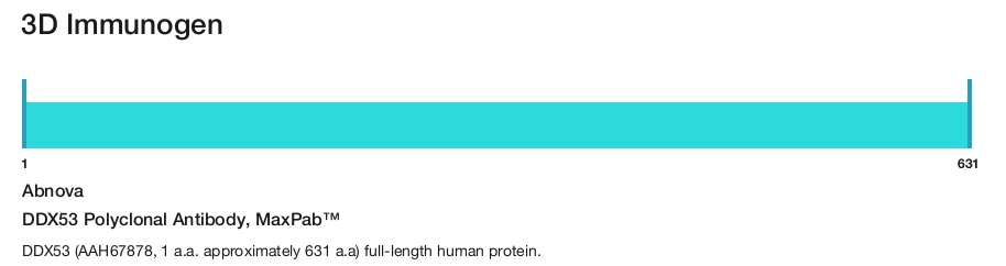 DDX53 Polyclonal Antibody, MaxPab&trade;