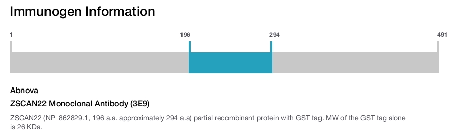 ZSCAN22 Monoclonal Antibody (3E9)