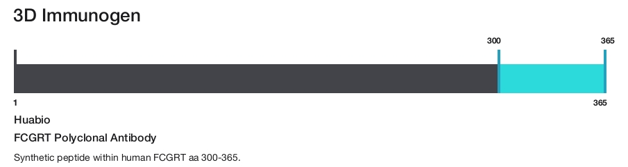 FCGRT Polyclonal Antibody