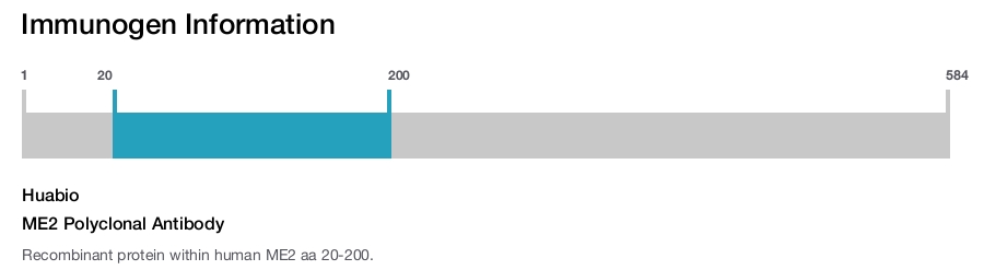 ME2 Polyclonal Antibody