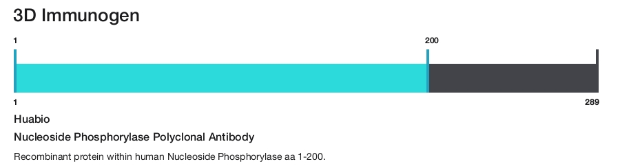 Nucleoside Phosphorylase Polyclonal Antibody