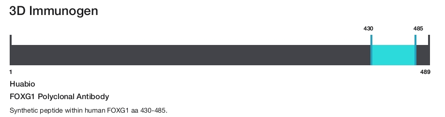 FOXG1 Polyclonal Antibody