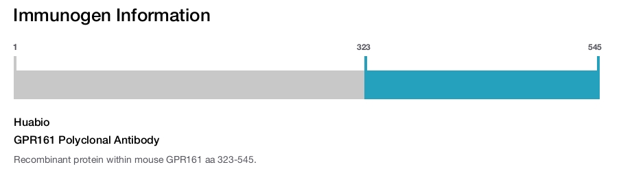GPR161 Polyclonal Antibody