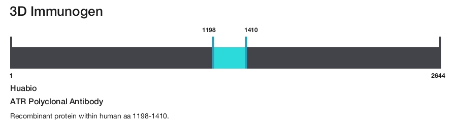 ATR Polyclonal Antibody