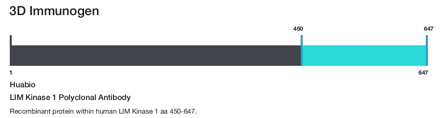 LIM Kinase 1 Polyclonal Antibody