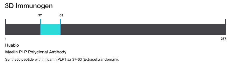 Myelin PLP Polyclonal Antibody