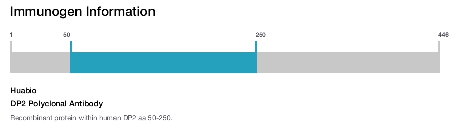 DP2 Polyclonal Antibody