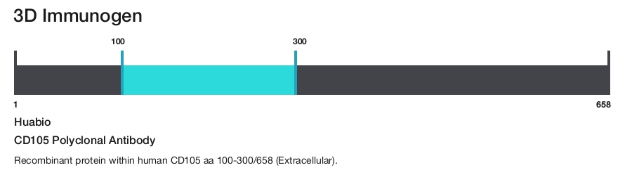 CD105 Polyclonal Antibody