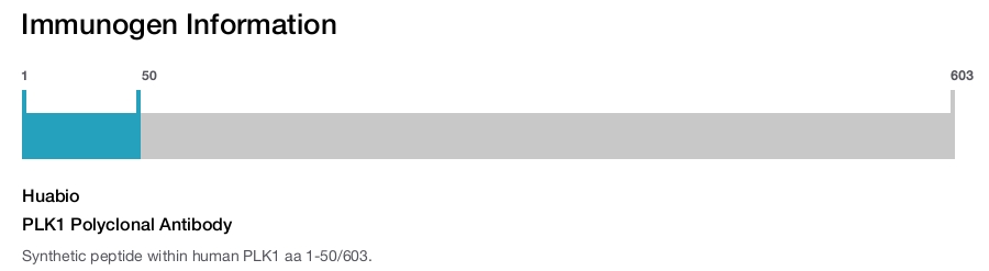 PLK1 Polyclonal Antibody