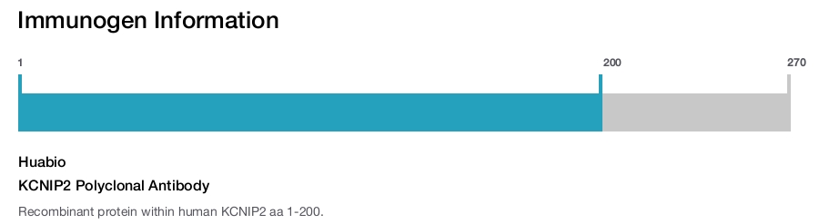 KCNIP2 Polyclonal Antibody