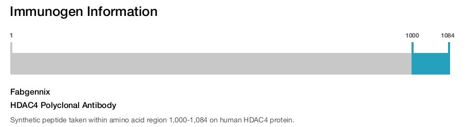 HDAC4 Polyclonal Antibody