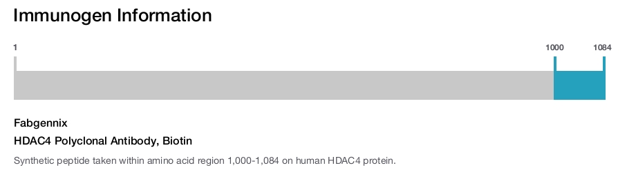 HDAC4 Polyclonal Antibody, Biotin