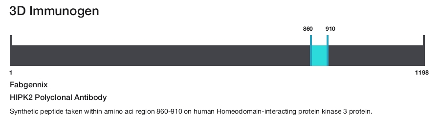 HIPK2 Polyclonal Antibody