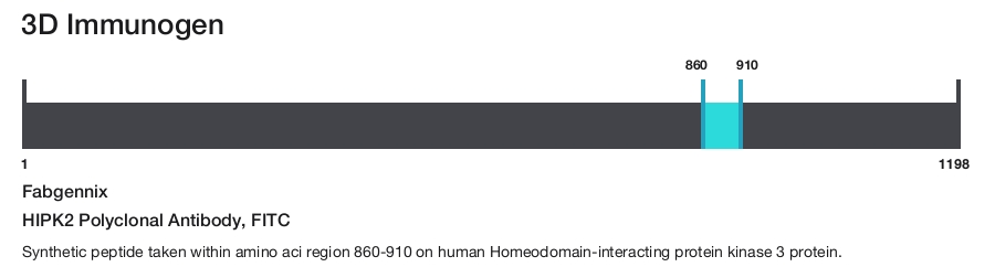 HIPK2 Polyclonal Antibody, FITC