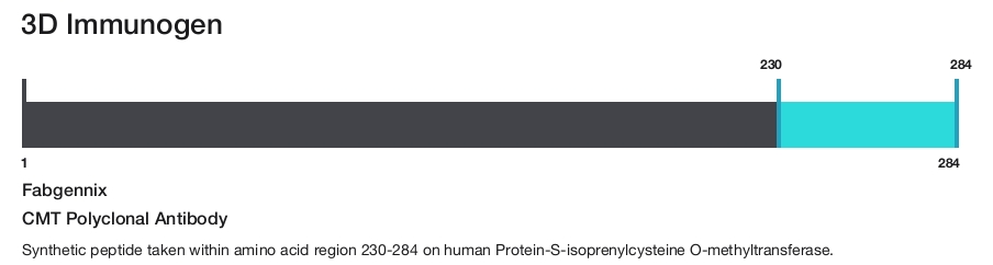 CMT Polyclonal Antibody