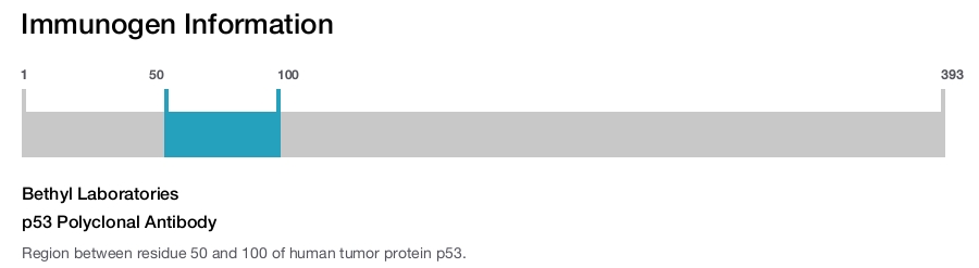 p53 Polyclonal Antibody