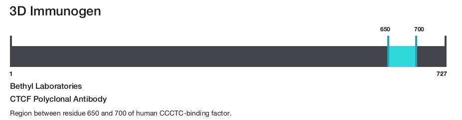 CTCF Polyclonal Antibody