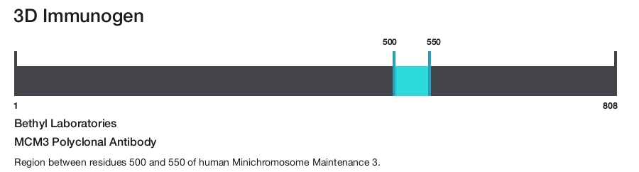 MCM3 Polyclonal Antibody