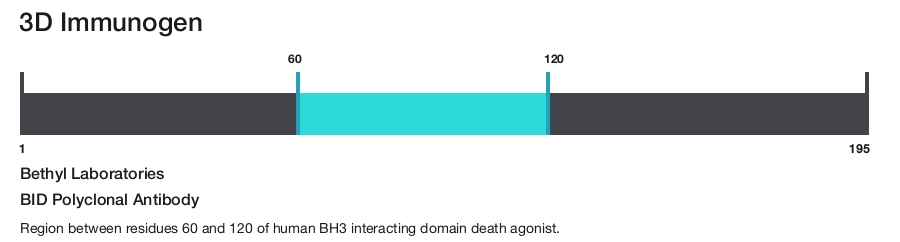 BID Polyclonal Antibody